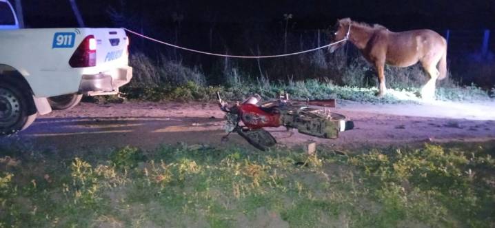 TRES ISLETAS: Motociclista en Estado de Ebriedad Chocó contra un Caballo en Colonia Lalelay