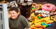 Alimentos ultraprocesados: La principal causa del aumento de obesidad infantil