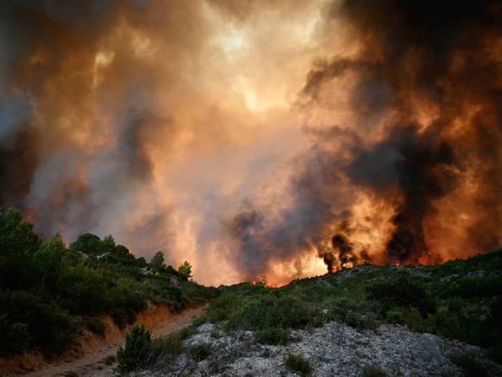 ONU alerta que incendios forestales degradan la calidad del aire global