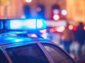 Winnipeg teen charged after animal cruelty