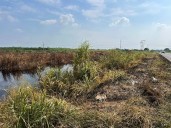 Pemex atiende derrame de amoniaco; revisa ducto de complejos Cosoleacaque y Pajaritos