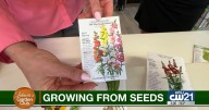 Thinking about starting plants from seeds? Fall is the perfect time