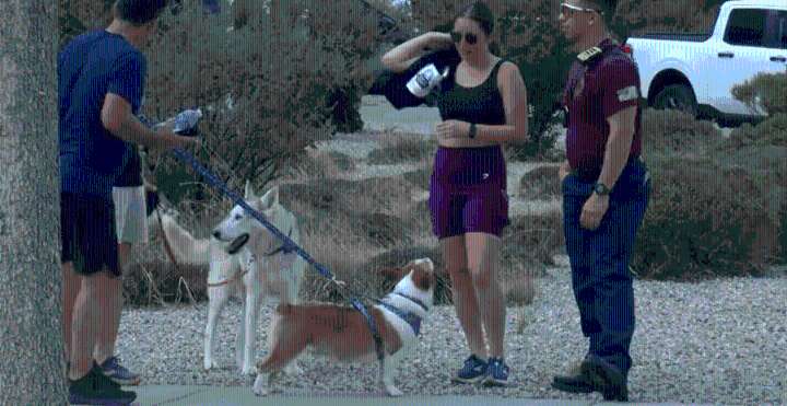 Inaugural 'Run the Runway Mutt Strut' at Double Eagle II marks airport growth