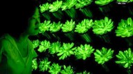 Scientists create rechargeable glow-in