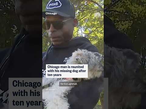 Chicago man is reunited with his missing dog after ten years