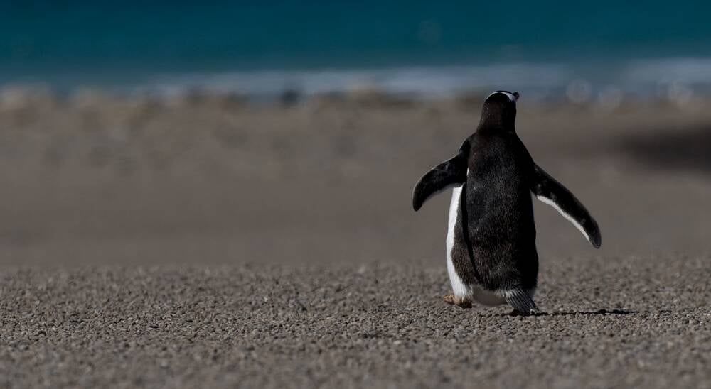 OpenSUSE dropping bcachefs support from next kernel version • The Register
