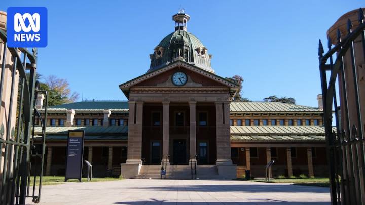 Police officer allegedly tasered during arrest in Bathurst, NSW