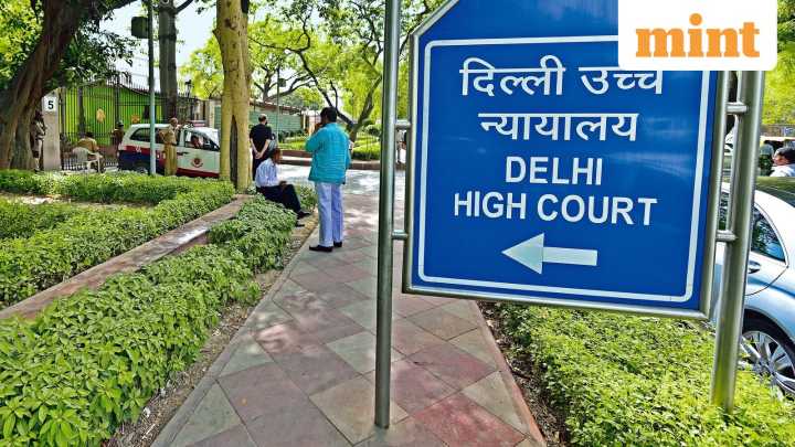 HC restrains Rupa from publishing, selling red-&-black edition of Constitution