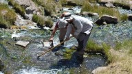 Hallaron una nueva especie de crustáceo de agua dulce en las Termas del Domuyo