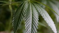 Is it legal in Monroe to smoke weed in public?