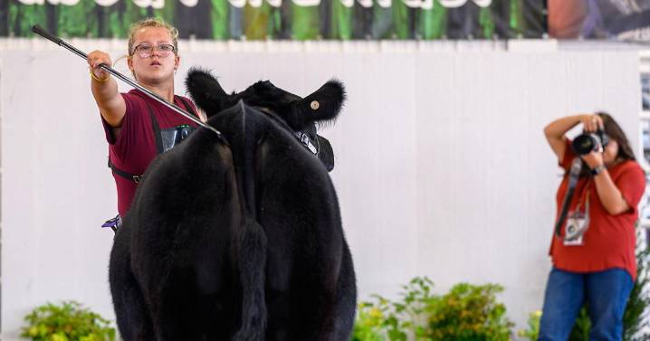 Youth Beef Breed Show brings family, friends together