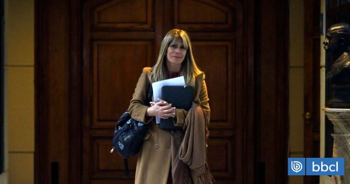 Oficialismo y la DC inician ofensiva judicial para impugnar candidatura al Senado de Ximena Rincón