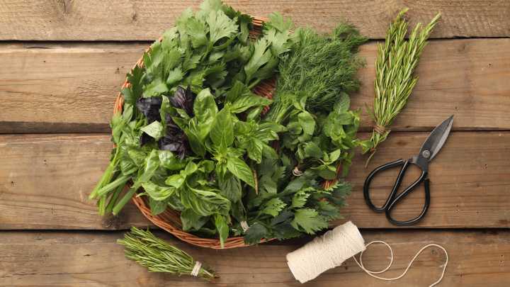 Neither Lavender Nor Lemongrass: The Aromatic, Calming Herb To Eliminate Kitchen Odors