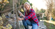 Key plants to prune in September before the weather turns for the worse
