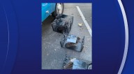 Over 20 cats found living in 'squalor' in car; Largo man arrested for animal cruelty: CPD