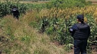 Campesinos localizan restos humanos en parcela de Cuchicuato