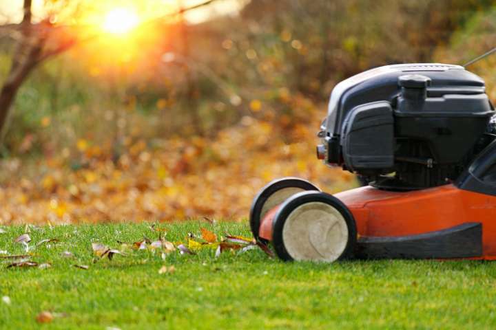Fall lawn maintenance: How to prepare your lawn in Canada