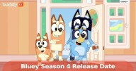 Bluey Season 4: Everything We Know So Far — Release, Cast, Plot & More