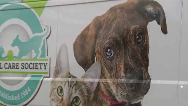 Give for Good Louisville online fundraiser happening Thursday