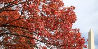 Fall foliage travel outlook for across US