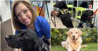 Stanley shatters record in honor of Walter the Weather Dog for Richmond Animal League contest