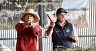 2025 spring bull sales wrap up as ram sales get underway