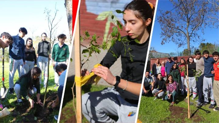 Reforestan el barrio para generar conciencia y hacer frente al cambio climático