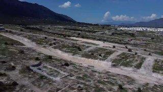 Seguirá vigilancia tras ecocidio; tala de árboles representa delito