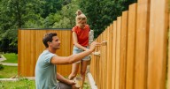 Brits warned painting garden fence could be classed as criminal damage