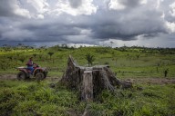 ¿Qué causa la sequía en la Amazonía? Un estudio tiene la respuesta