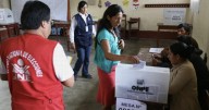 Elecciones y emociones, por Cynthia Cienfuegos