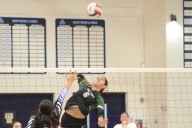 Volleyball: Maryam Hussein reaches new heights for Oak Lawn