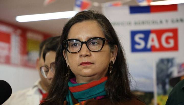 Gobierno por migrantes en agricultura: "El objetivo es dar certezas a trabajadores chilenos"