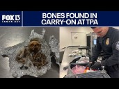 Bones found in duffel bag at Tampa International Airport