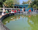 Capacitan a más de 1,400 acuacultores en 13 estados de México