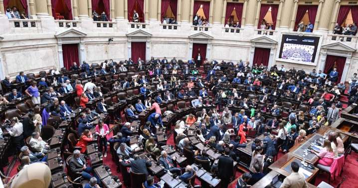 Sesión clave en el Senado: el veto de Javier Milei a la Ley de Discapacidad y una reforma sobre los DNU, la agenda del día