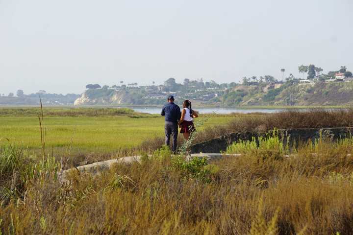Free Things to Do: Coastal Cleanups and Hispanic Heritage Events