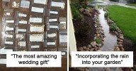 50 Of The Best Pics From The ‘Interesting Gardening’ Online Group