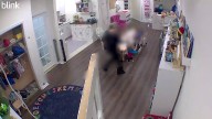 Mass. day care owner accused of abusing children in her care pleads guilty