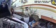 Dogs, cats and livestock rescued from Tempe property
