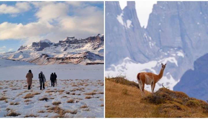 Hotel de la Patagonia chilena es reconocido internacionalmente por conservar vida silvestre