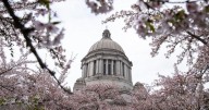 Lieutenant Governor to takeover while Governor Bob Ferguson is away from Washington
