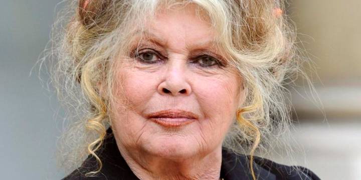 Brigitte Bardot publica un libro abecedario con sus definiciones escritas a mano