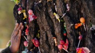 A lightning-struck ‘miracle tree’ said to fulfill wishes is drawing devotees to a Bolivian cemetery