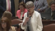 Minnesota Senator Ann Rest announces retirement