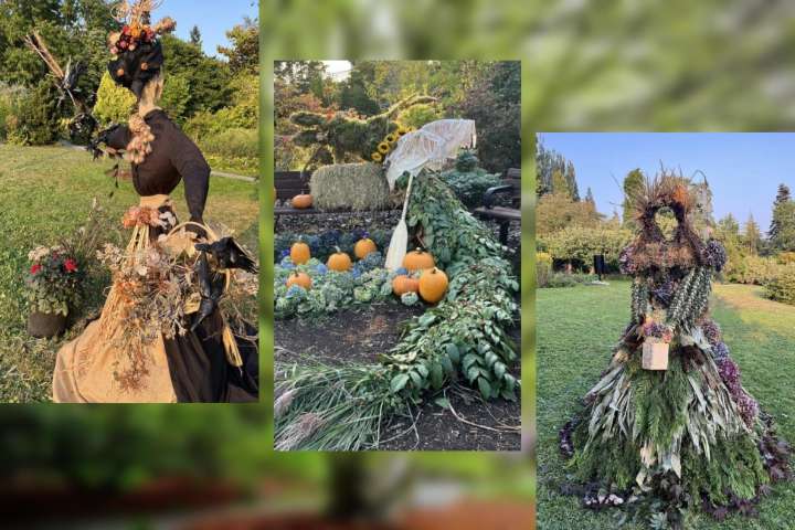 Scarecrow Stroll on at South Surrey's Darts Hill park
