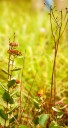 Osceola County things to do, starting Sept. 12