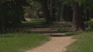 Juvenile suspect arrested in Houston park attack