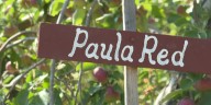 Made in Vermont: Sunrise Orchards