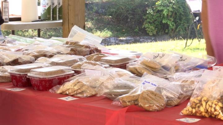 Tyrone hosts annual community picnic